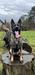  WOLFFDEAN ATHENA