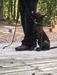 Gunner Buyingtimek9