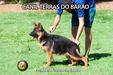 Prada do Terras do Barão