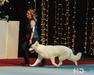 Isy-Best-Star du Loup de la Vieille Eglise