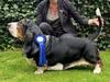 Tbone van Hollandheim