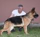 Sanny Vardar Wolf