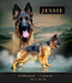 Youth Winner JESSIE Mel-Hof (FCI)