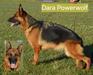 Dara do Powerwolf
