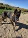 Isis Des Schwarzen Flusses