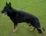 V Matscho von Conneforde