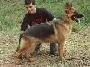 Apolo do Arubatã