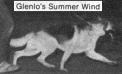  Glenlo's Summer Wind