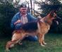 K-9 Wan-Hen