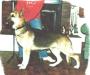 Rin Tin Tins Tifton