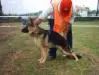 Tula do Reboiro