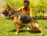 swapnil's cally