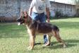 Ajax do Taba Ruiz