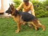 Swapnil's Blacky