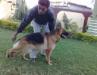 SILVER COIN'S SWAPNIL'S BOLA