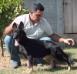 Cuba do Caio Work Dog's