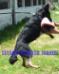 Ttau of L K-9