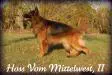 Hoss Vom Mittelwest II