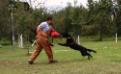 Axa of L K-9