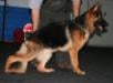 Kilo Vom Mittelwest ll