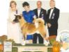 AKC/CAN CH Serdess Zanadou De Lauclair