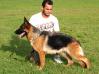 Xiva do Campo das Princesas