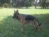 Ares do Monte Celeste