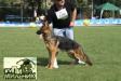 Cash Vardar Wolf