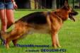 THORNADO Hexenland