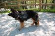 Cool Hand Luke @ Ryanhaus