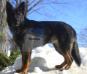 Lucky Von Ryanhaus