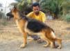 Swapnil's Friki