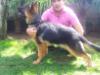 Ginna Vardar Wolf