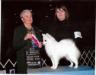 AKC CH/UKC CH Artc Mgc's Quantum Charisma