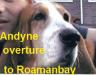  Andyne overture to roamanbay