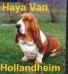  Haya van Hollandheim