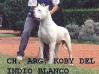  Koby del Indio Blanco