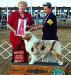 HOF AKC/ASCA CH Broadways Blaze of Glory