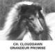 CH Clouddawn's Grandeur Promise