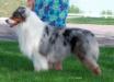 HOF AKC/ASCA CH McMatt's EZ to Please