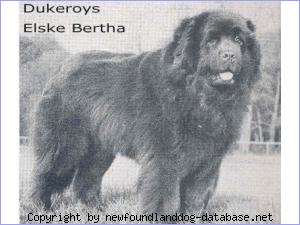 Dukeroys Elske Bertha