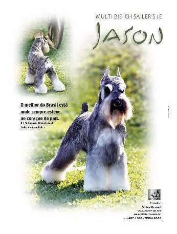 Sailer's JE Jason