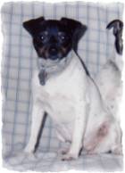 Hall's Susie