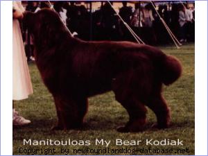 Manitouloas My Bear Kodiak