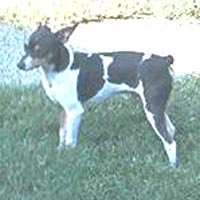 Cox's Paulie (NBT)