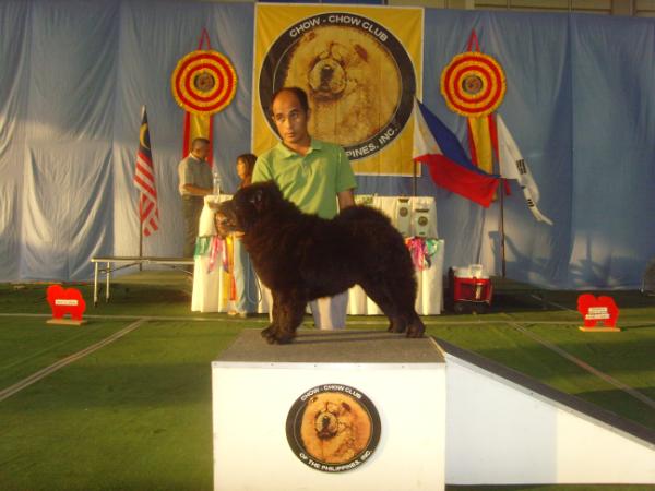 DORA OF BEEP BEEP