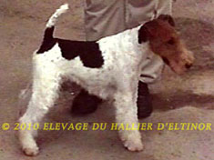 Ulster De La Claie