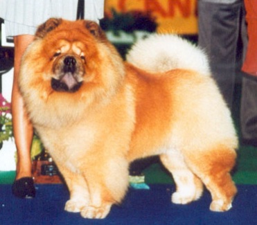 Radja Van Mansjoerije