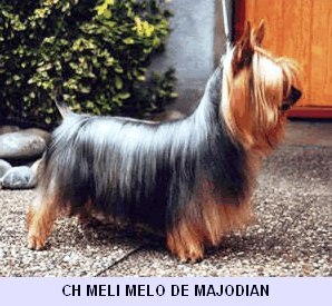 Meli - Melo de Majodian