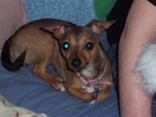 CPK's Georgia Baybee Lamica